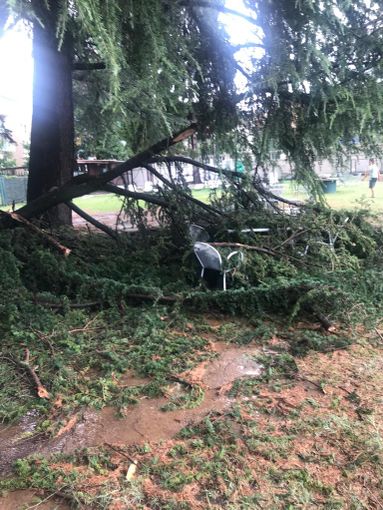 Danni ingenti nel biellese per la grandine e il vento Danni ingenti nel biellese per la grandine e il vento