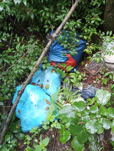 Dai residenti dei comuni della Serra: "Loschi traffici nei nostri paesi, siamo stufi"