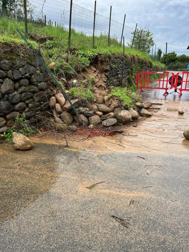 frana piante frana piante