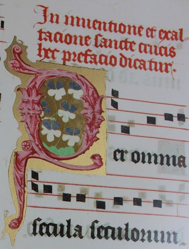 Capolettera “P” in Missale Magnum Festivum Domini Georgii Challandi (sec. XV), Priuli e Verlucca 1993, copia facsimile posseduta a Biella dal Comm. Mario Coda - Foto Su Nuraghe