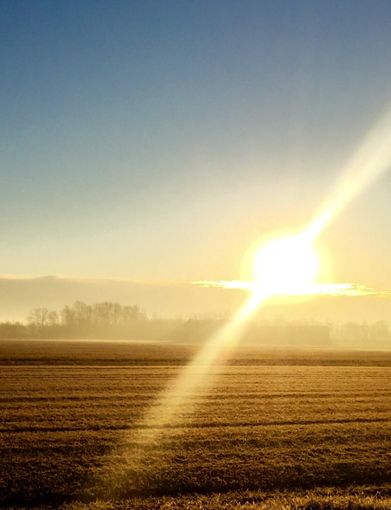 La Regione a fianco degli agricoltori