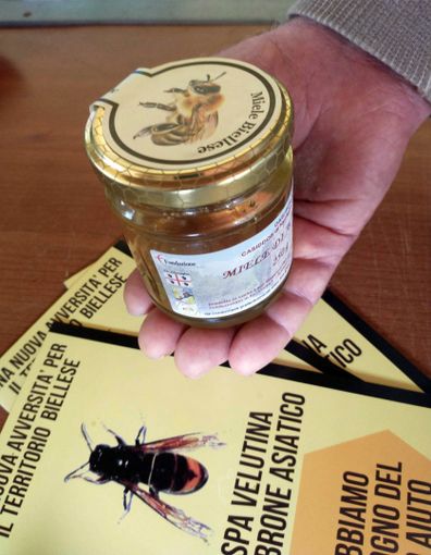 Barattoli di miele biellese prodotto nell’Oasi delle Api, “Casiddos de Nuraghe Chervu”