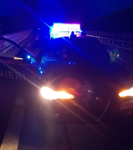 Villanova, con l'auto investe un cinghiale, foto archivio