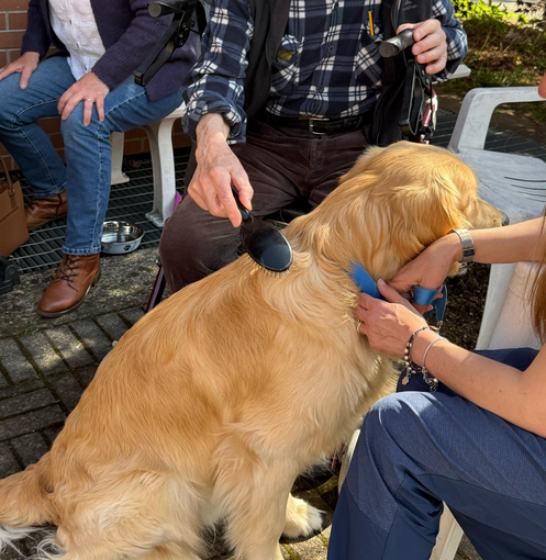 ronco biellese ronco biellese