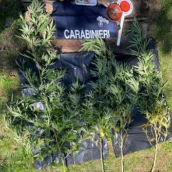 settimo vittone settimo vittone