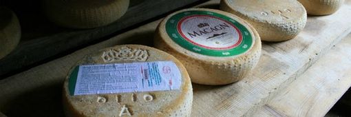 Torna la sagra del Macagn Torna la sagra del Macagn