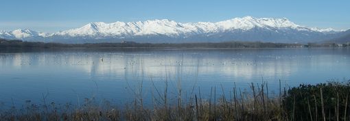 Il lago di Viverone? La sua acqua ha “tre stelle” Il lago di Viverone? La sua acqua ha “tre stelle”