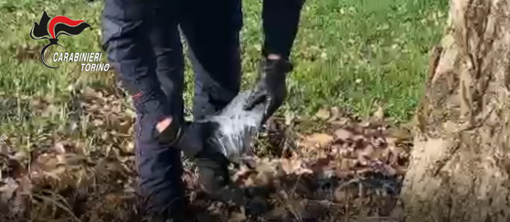 Una delle due pistole ritrovate nel Canavese e consegnata ai Ris di Parma