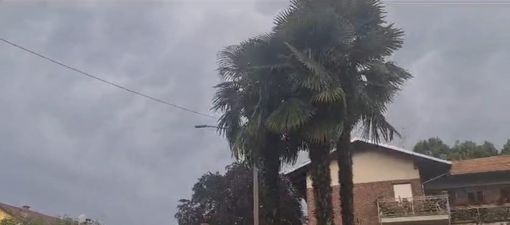 Maltempo nel Biellese: raffiche di vento e pioggia intensa, 12 interventi dei Vigili del Fuoco in un solo pomeriggio