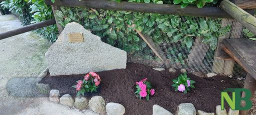 cippo chiavazza cippo chiavazza