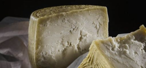 Siero innesto: cos'è, a cosa serve e come funziona