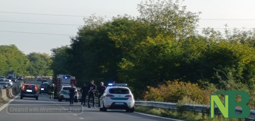 auto super auto super