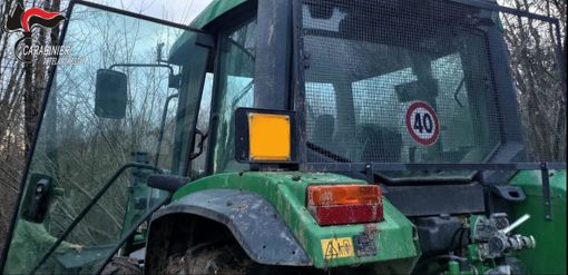 Taglia e ruba alberi di proprietà del Comune di Mongrando: denunciato un 62enne