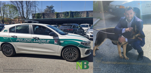 Polizia Locale di Biella, 2 nuovi agenti a Palazzo Pella. Moscarola: "Ci prepariamo per i grandi eventi del 2025" Polizia Locale di Biella, 2 nuovi agenti a Palazzo Pella. Moscarola: "Ci prepariamo per i grandi eventi del 2025"