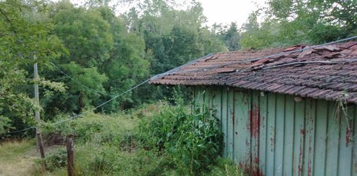 Foto Massimo Gioggia