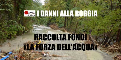 danni roggia