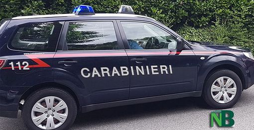 Finisce contro un animale selvatico a Ponderano. Auto portata via con il carroattrezzi Finisce contro un animale selvatico a Ponderano. Auto portata via con il carroattrezzi
