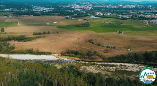 I colori estivi delle baragge biellesi: un'escursione nella "savana piemontese"