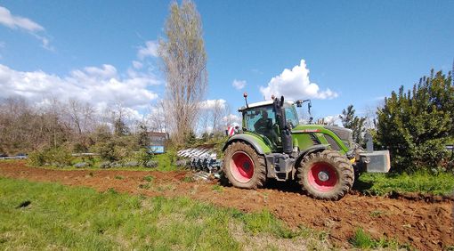 nuraghe miele nuraghe miele