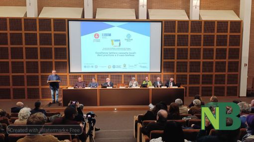 Eccellenze lattiero-casearie locali: se ne parla oggi a Città Studi - Servizio di Mattia Baù per newsbiella.it Eccellenze lattiero-casearie locali: se ne parla oggi a Città Studi - Servizio di Mattia Baù per newsbiella.it