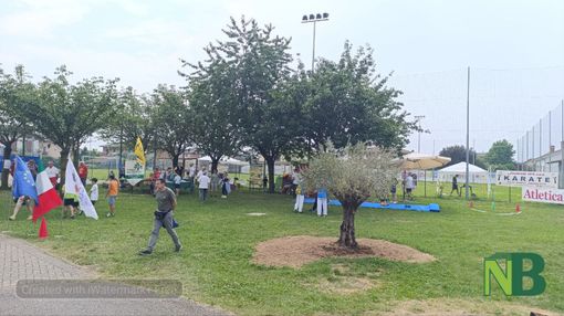 foto Mattia Baù per newsbiella.it