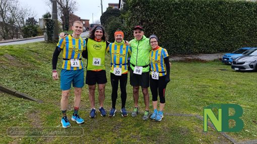 pioggia viverone pioggia viverone