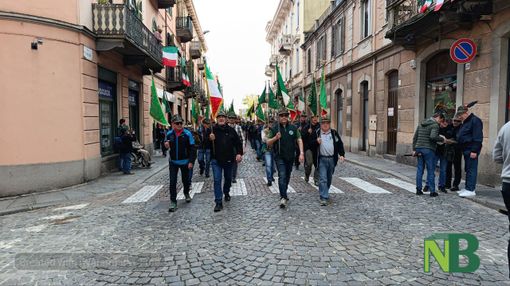 adunata biella adunata biella