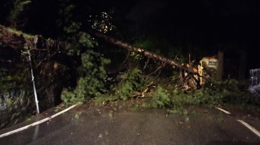 Liberata e di nuovo transitabile, la strada che porta a Tavigliano