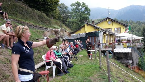 Lessona: Ospiti della residenza Maria Grazia a contatto con i rapaci nel progetto "Rap Therapy" Lessona: Ospiti della residenza Maria Grazia a contatto con i rapaci nel progetto "Rap Therapy"