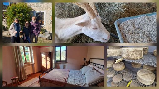 Tra le colline di Sagliano Cà d’Andrei racconta il Biellese più autentico FOTO e VIDEO