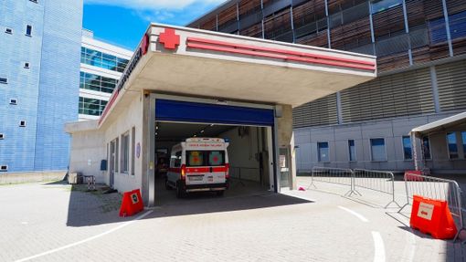 Bambina di pochi anni morsa al volto da un cane, arrivano i soccorsi a Biella (foto di repertorio)