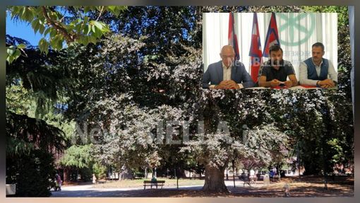Biella, Lega: "Più controlli ai Giardini Zumaglini con la vigilanza rafforzata" Biella, Lega: "Più controlli ai Giardini Zumaglini con la vigilanza rafforzata"