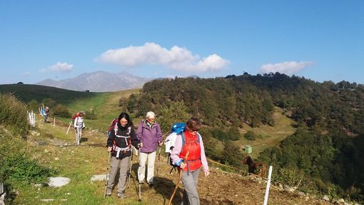Cammino di Oropa: +41% nel 2023. Un Cammino "al femminile" che piace anche tanto ai giovani Cammino di Oropa: +41% nel 2023. Un Cammino "al femminile" che piace anche tanto ai giovani