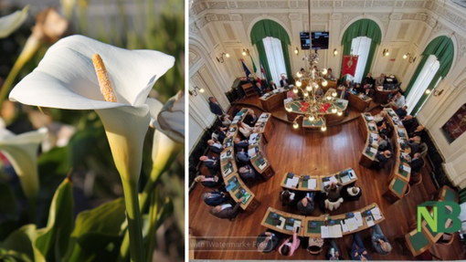 Biella, annullato il Consiglio comunale: "Esprimiamo vicinanza a Marta Bruschi".