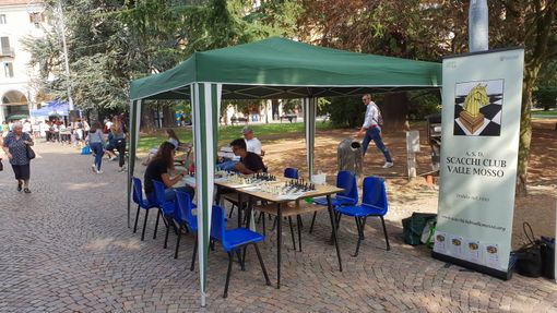 pietro micca scacchi