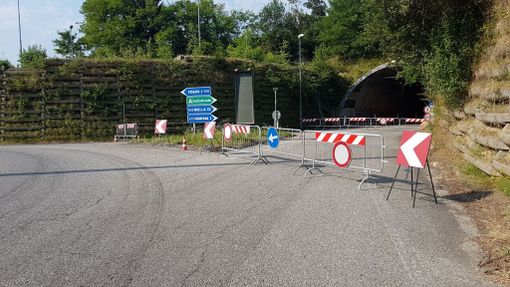 Foto Catia Ciccarelli