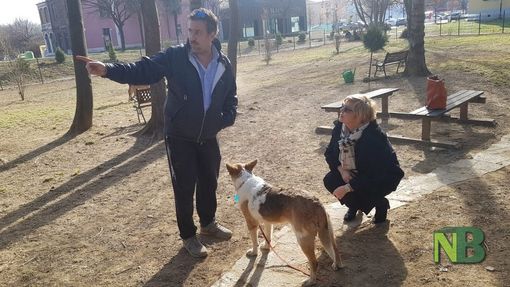 Coronavirus, Biella Animal Friendly: una ventina le richieste di aiuto per gli animali domestici