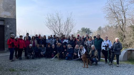 auser cossato auser cossato