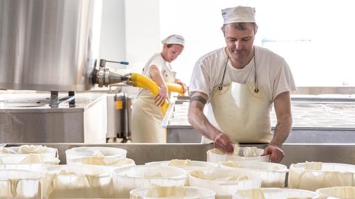 Botalla Formaggi e Caseificio Valle Elvo: Viaggi del gusto con Formaggi d’Autunno FOTOGALLERY