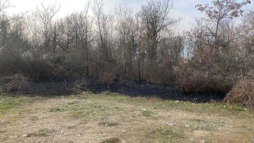 incendio cerrione incendio cerrione