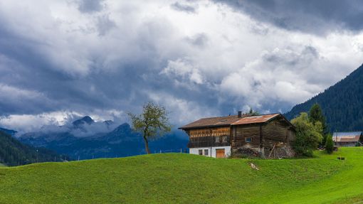 piemonte domicilio piemonte domicilio