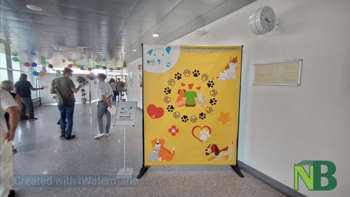 Hello Pet! in tre anni oltre 120 pazienti hanno potuto incontrare il proprio amico a quattro zampe tra le mura dell'ospedale di Biella Hello Pet! in tre anni oltre 120 pazienti hanno potuto incontrare il proprio amico a quattro zampe tra le mura dell'ospedale di Biella