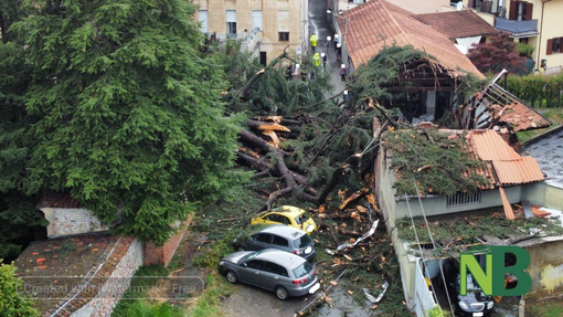 chiavazza tromba chiavazza tromba