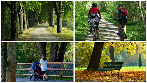 Mobilità sostenibile, la città di domani: come il Biellese può abbracciare il cambiamento?