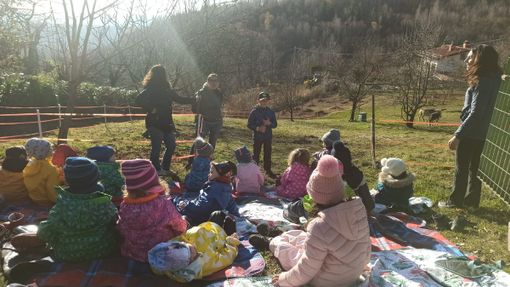 graglia scuola graglia scuola