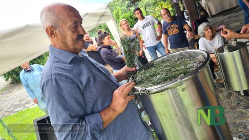 Mezzana: Evento immersivo all'Azienda Agricola Serafia, la fioritura della lavanda incanta i visitatori - FOTO Ciccarelli per newsbiella.it