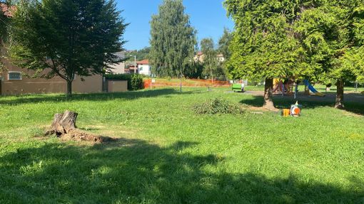 Tollegno: I disagi del forte temporale di ieri risolti dai Volontari della Protezione Civile Comunale Tollegno: I disagi del forte temporale di ieri risolti dai Volontari della Protezione Civile Comunale