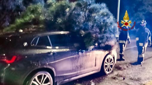 Biella, albero cade su di un'auto parcheggiata