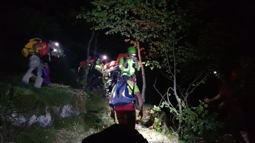 Dal Nord/Ovest: Cercatrice di funghi trovata senza vita nei boschi, foto archivio Dal Nord/Ovest: Cercatrice di funghi trovata senza vita nei boschi, foto archivio