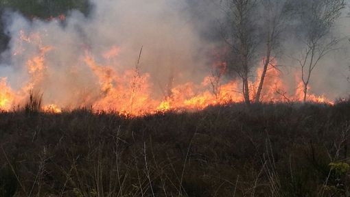 Tratta da Facebook. Foto di Davide Mantoan Tratta da Facebook. Foto di Davide Mantoan